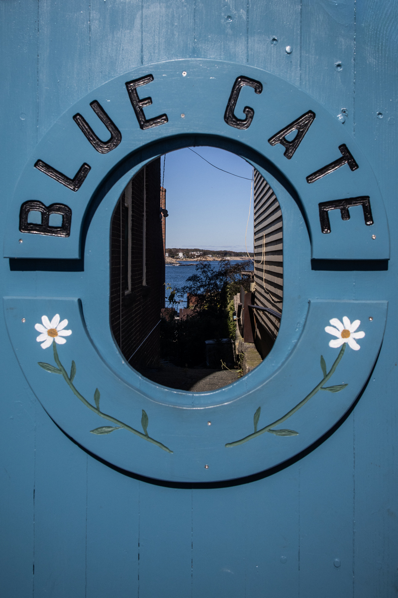 DeCristofaro Janet Through the Blue Gate Pictorial   Class B 20260121